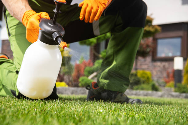 Best Pest Control Near Me in Cedar Lake, IN