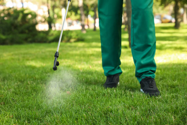 Best Mosquito Control Services  in Cedar Lake, IN