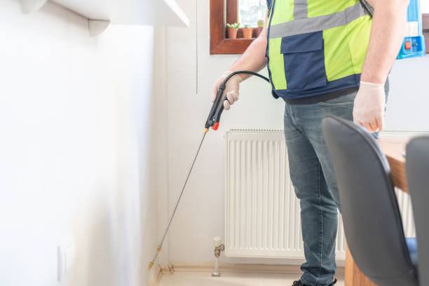 Best Termite Control Services  in Cedar Lake, IN