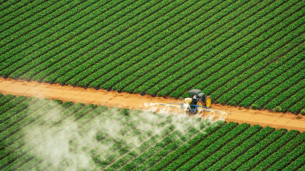 Best Ant Control Services  in Cedar Lake, IN