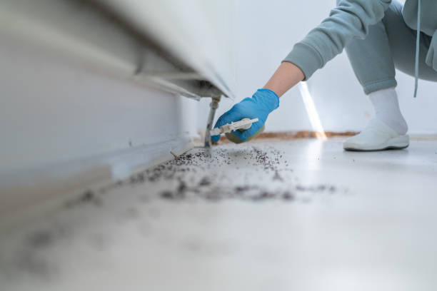 Best Commercial Pest Control Services  in Cedar Lake, IN